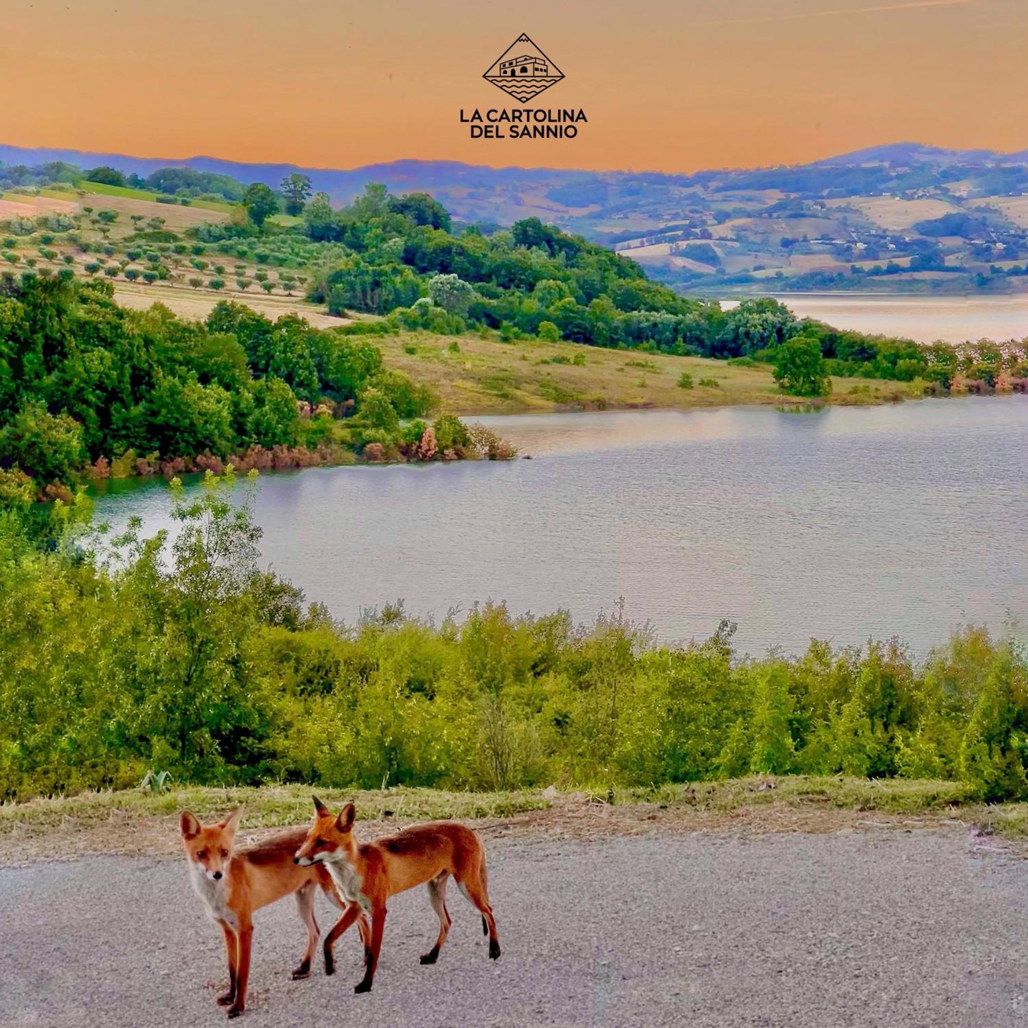 La Cartolina del Sannio Campolattaro Exterior foto